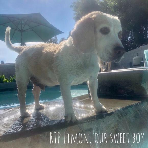 Meet your Posher, Christine - Picture 8 of 16